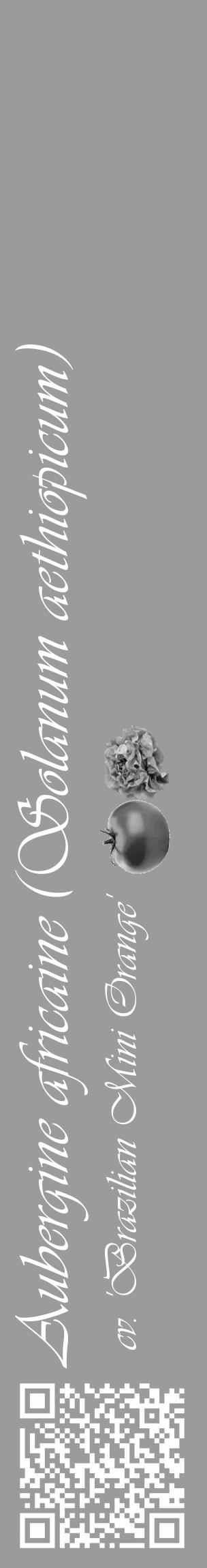 Étiquette de : Solanum aethiopicum cv. 'Brazilian Mini Orange' - format c - style blanche52_basique_basiqueviv avec qrcode et comestibilité simplifiée - position verticale