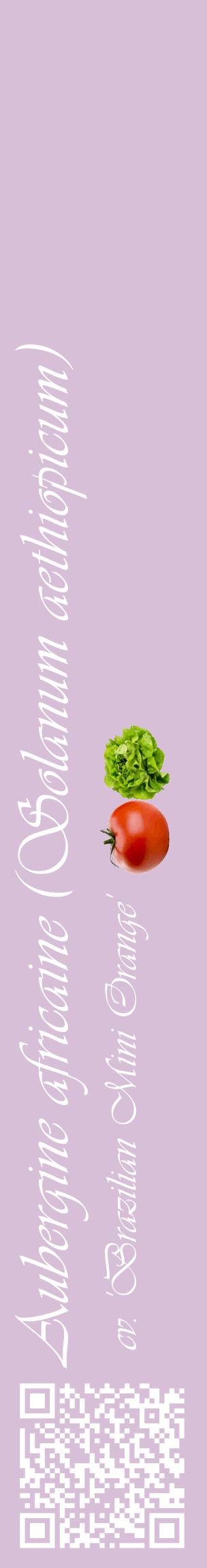 Étiquette de : Solanum aethiopicum cv. 'Brazilian Mini Orange' - format c - style blanche54_basiqueviv avec qrcode et comestibilité simplifiée