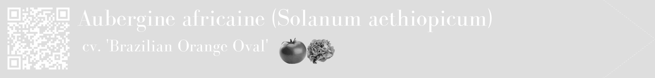 Étiquette de : Solanum aethiopicum cv. 'Brazilian Orange Oval' - format c - style blanche20_simple_simplebod avec qrcode et comestibilité simplifiée