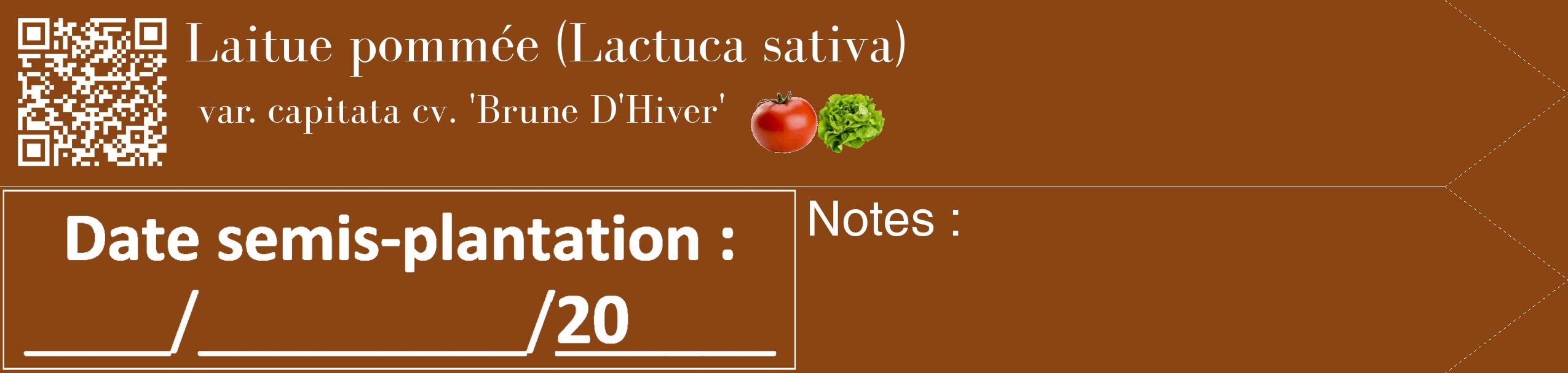 Étiquette de : Lactuca sativa var. capitata cv. 'Brune D'Hiver' - format c - style blanche30_simple_simplebod avec qrcode et comestibilité simplifiée
