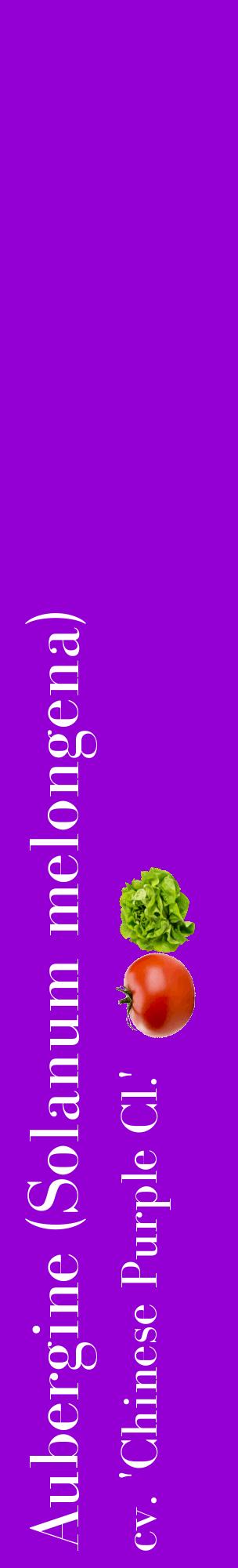 Étiquette de : Solanum melongena cv. 'Chinese Purple Cl.' - format c - style blanche48_basiquebod avec comestibilité simplifiée