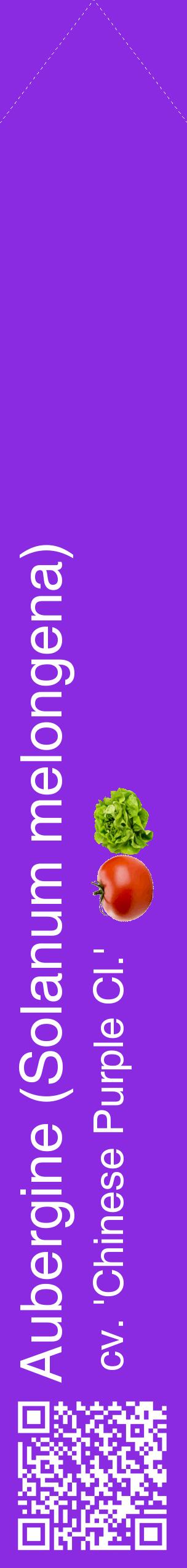 Étiquette de : Solanum melongena cv. 'Chinese Purple Cl.' - format c - style blanche49_simplehel avec qrcode et comestibilité simplifiée