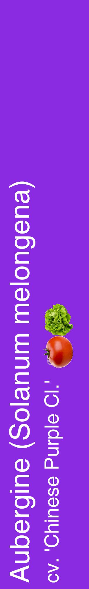 Étiquette de : Solanum melongena cv. 'Chinese Purple Cl.' - format c - style blanche49_basiquehel avec comestibilité simplifiée
