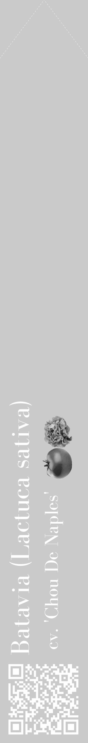 Étiquette de : Lactuca sativa cv. 'Chou De Naples' - format c - style blanche21_simple_simplebod avec qrcode et comestibilité simplifiée - position verticale