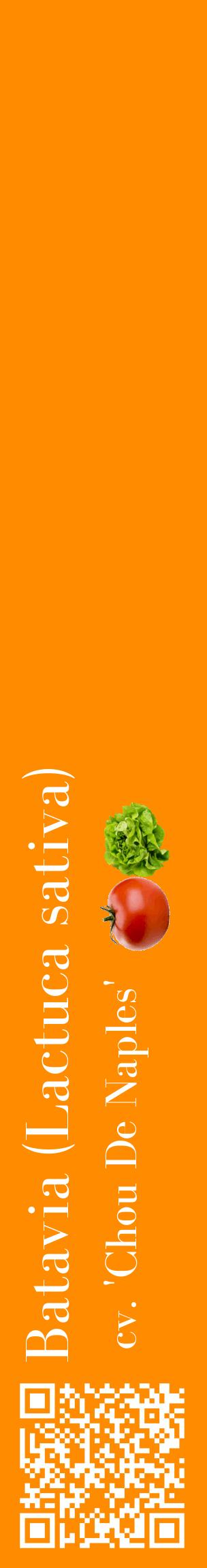 Étiquette de : Lactuca sativa cv. 'Chou De Naples' - format c - style blanche23_basiquebod avec qrcode et comestibilité simplifiée
