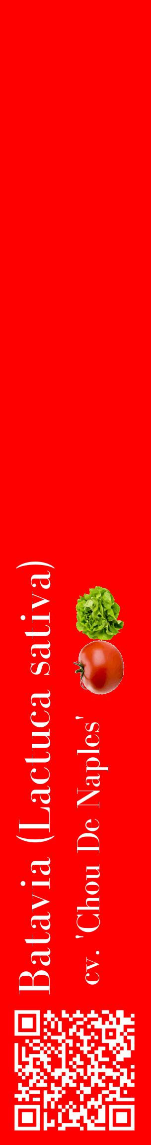 Étiquette de : Lactuca sativa cv. 'Chou De Naples' - format c - style blanche27_basiquebod avec qrcode et comestibilité simplifiée