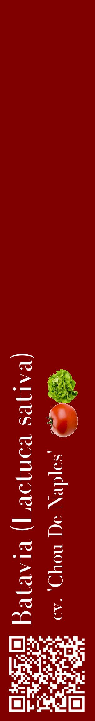 Étiquette de : Lactuca sativa cv. 'Chou De Naples' - format c - style blanche29_basiquebod avec qrcode et comestibilité simplifiée