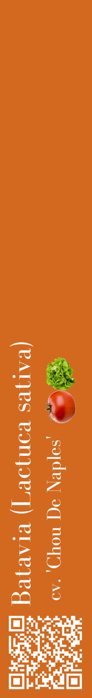 Étiquette de : Lactuca sativa cv. 'Chou De Naples' - format c - style blanche31_basiquebod avec qrcode et comestibilité simplifiée