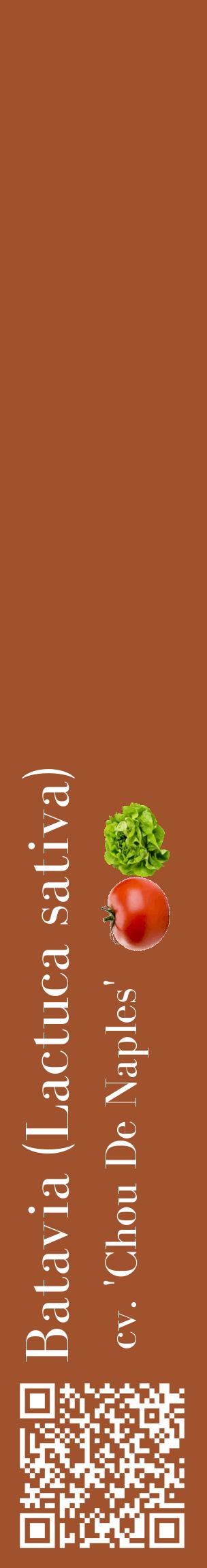 Étiquette de : Lactuca sativa cv. 'Chou De Naples' - format c - style blanche32_basiquebod avec qrcode et comestibilité simplifiée