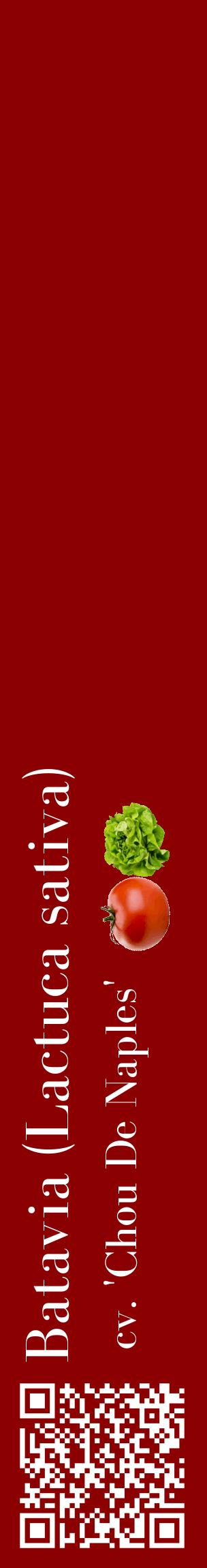 Étiquette de : Lactuca sativa cv. 'Chou De Naples' - format c - style blanche34_basiquebod avec qrcode et comestibilité simplifiée