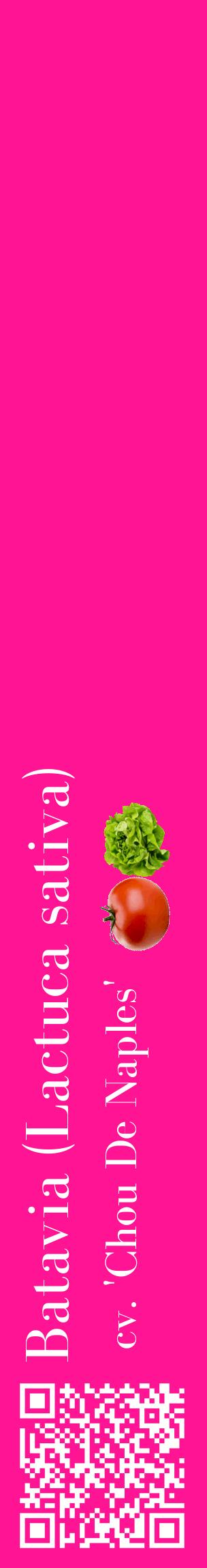 Étiquette de : Lactuca sativa cv. 'Chou De Naples' - format c - style blanche43_basiquebod avec qrcode et comestibilité simplifiée