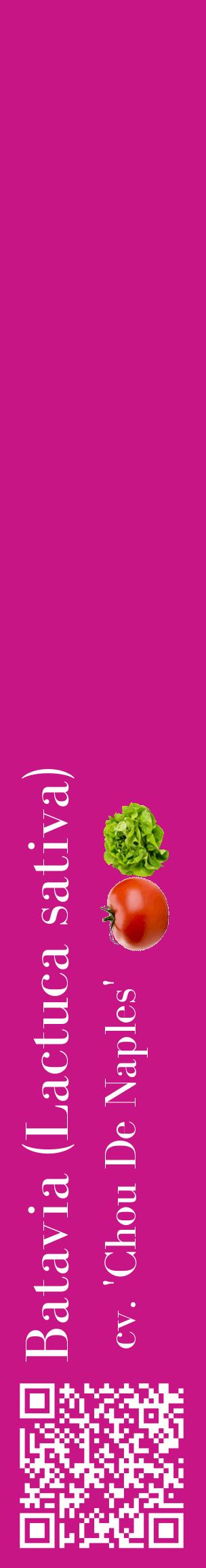 Étiquette de : Lactuca sativa cv. 'Chou De Naples' - format c - style blanche45_basiquebod avec qrcode et comestibilité simplifiée