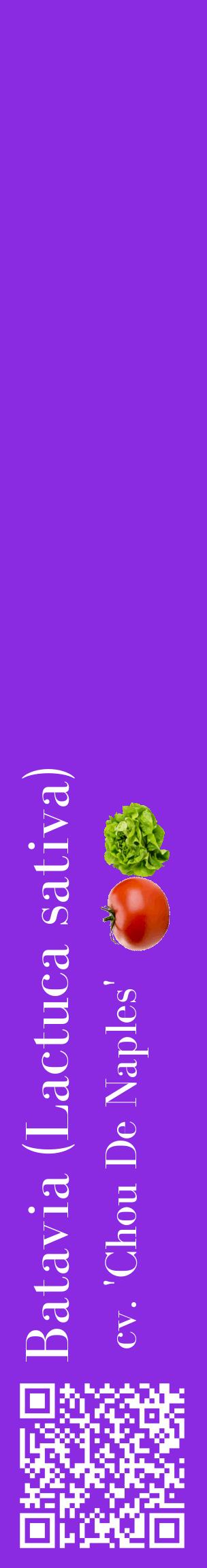 Étiquette de : Lactuca sativa cv. 'Chou De Naples' - format c - style blanche49_basiquebod avec qrcode et comestibilité simplifiée