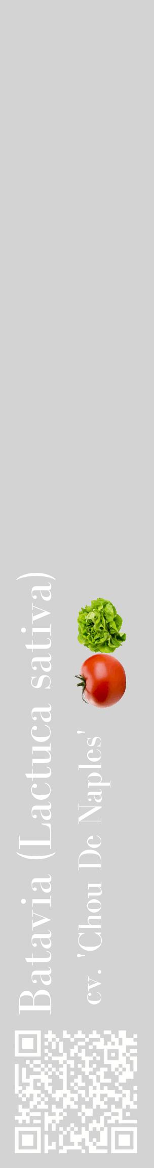 Étiquette de : Lactuca sativa cv. 'Chou De Naples' - format c - style blanche56_basiquebod avec qrcode et comestibilité simplifiée