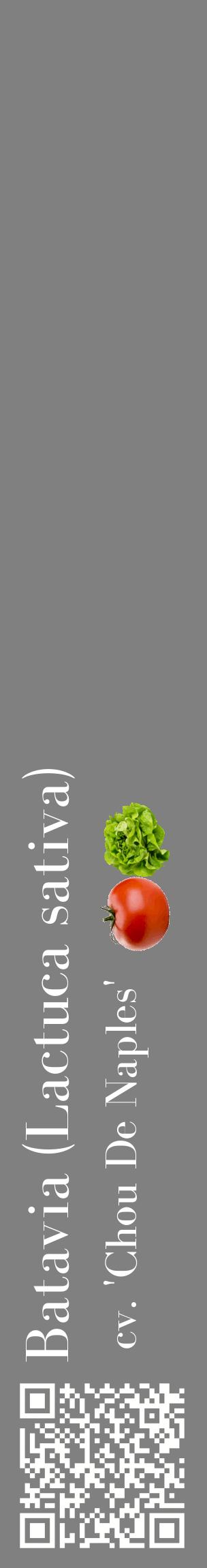 Étiquette de : Lactuca sativa cv. 'Chou De Naples' - format c - style blanche57_basiquebod avec qrcode et comestibilité simplifiée