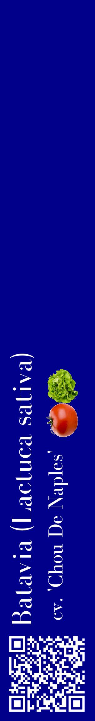 Étiquette de : Lactuca sativa cv. 'Chou De Naples' - format c - style blanche7_basiquebod avec qrcode et comestibilité simplifiée