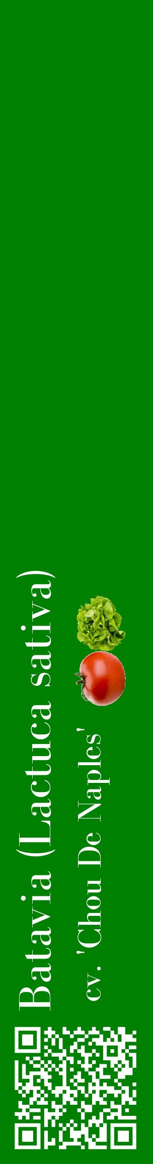 Étiquette de : Lactuca sativa cv. 'Chou De Naples' - format c - style blanche9_basiquebod avec qrcode et comestibilité simplifiée
