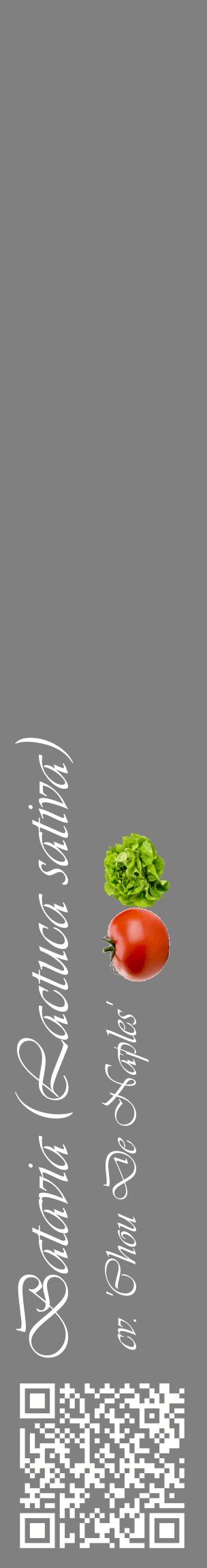 Étiquette de : Lactuca sativa cv. 'Chou De Naples' - format c - style blanche57_basiqueviv avec qrcode et comestibilité simplifiée