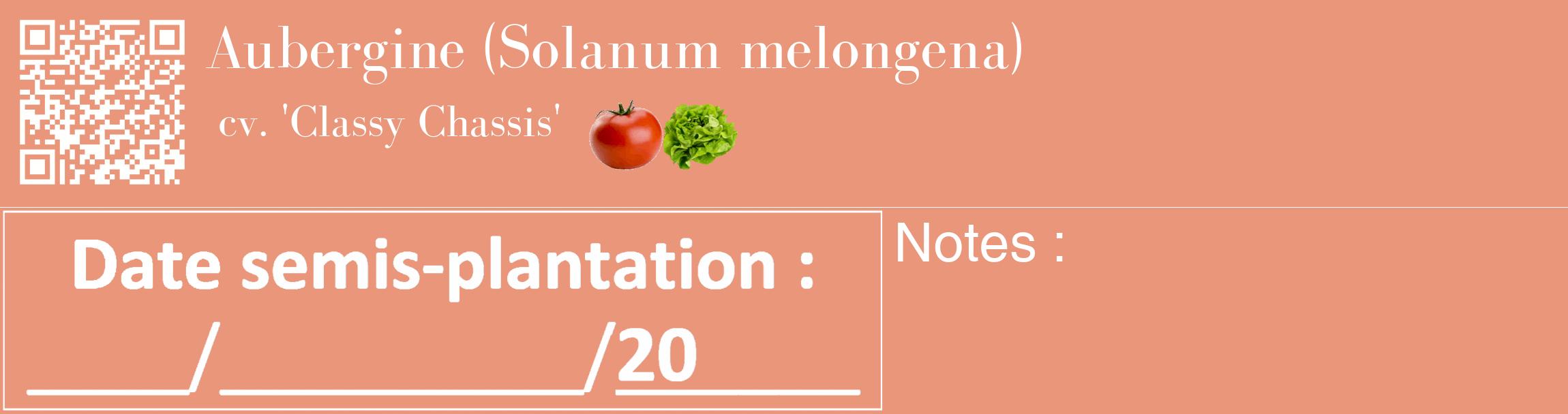 Étiquette de : Solanum melongena cv. 'Classy Chassis' - format c - style blanche37_basique_basiquebod avec qrcode et comestibilité simplifiée