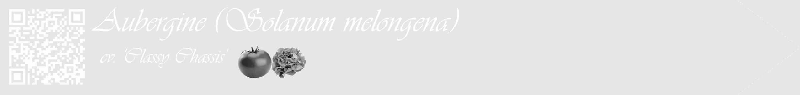 Étiquette de : Solanum melongena cv. 'Classy Chassis' - format c - style blanche18_simple_simpleviv avec qrcode et comestibilité simplifiée