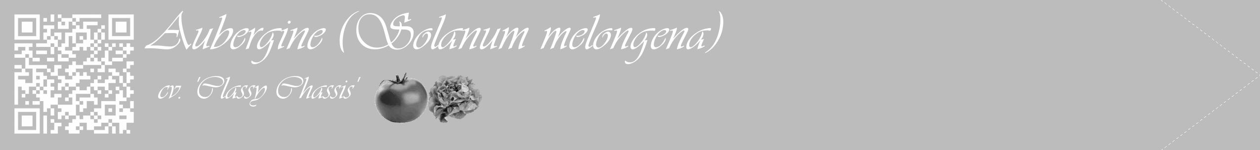 Étiquette de : Solanum melongena cv. 'Classy Chassis' - format c - style blanche1_simple_simpleviv avec qrcode et comestibilité simplifiée