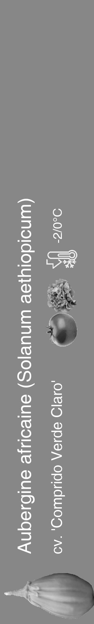 Étiquette de : Solanum aethiopicum cv. 'Comprido Verde Claro' - format c - style blanche12_basique_basiquehel avec comestibilité simplifiée - position verticale