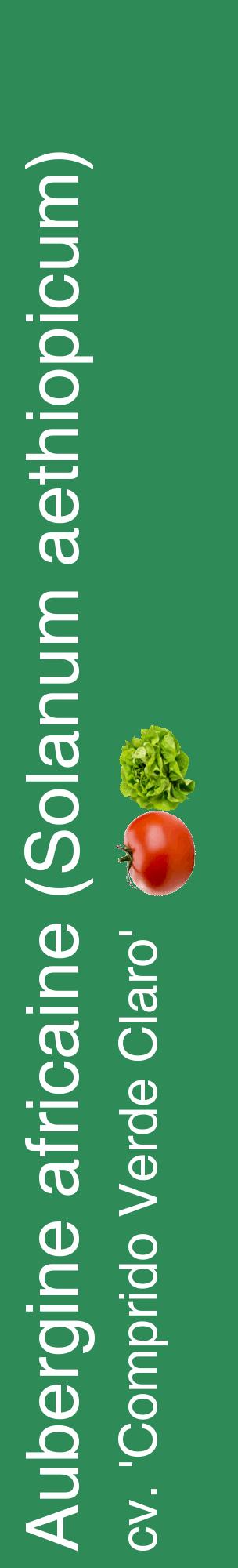 Étiquette de : Solanum aethiopicum cv. 'Comprido Verde Claro' - format c - style blanche11_basiquehel avec comestibilité simplifiée