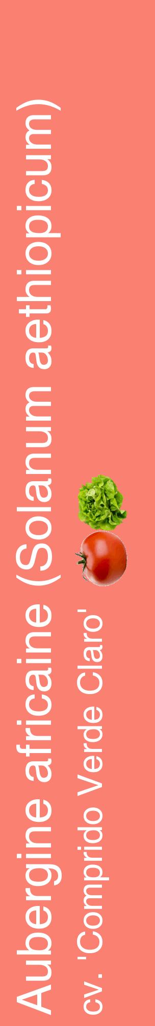 Étiquette de : Solanum aethiopicum cv. 'Comprido Verde Claro' - format c - style blanche38_basiquehel avec comestibilité simplifiée