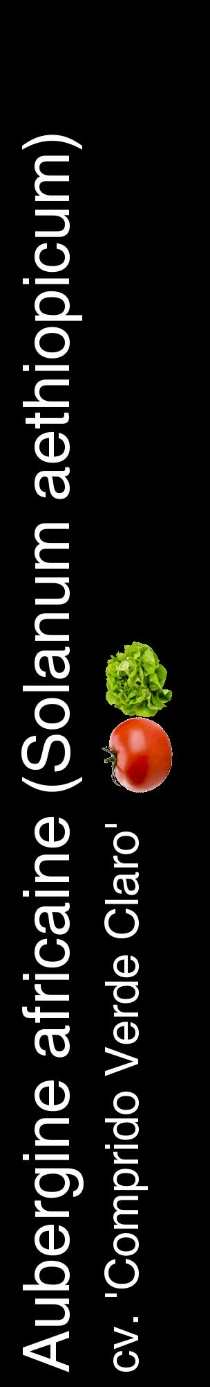 Étiquette de : Solanum aethiopicum cv. 'Comprido Verde Claro' - format c - style blanche59_basiquehel avec comestibilité simplifiée