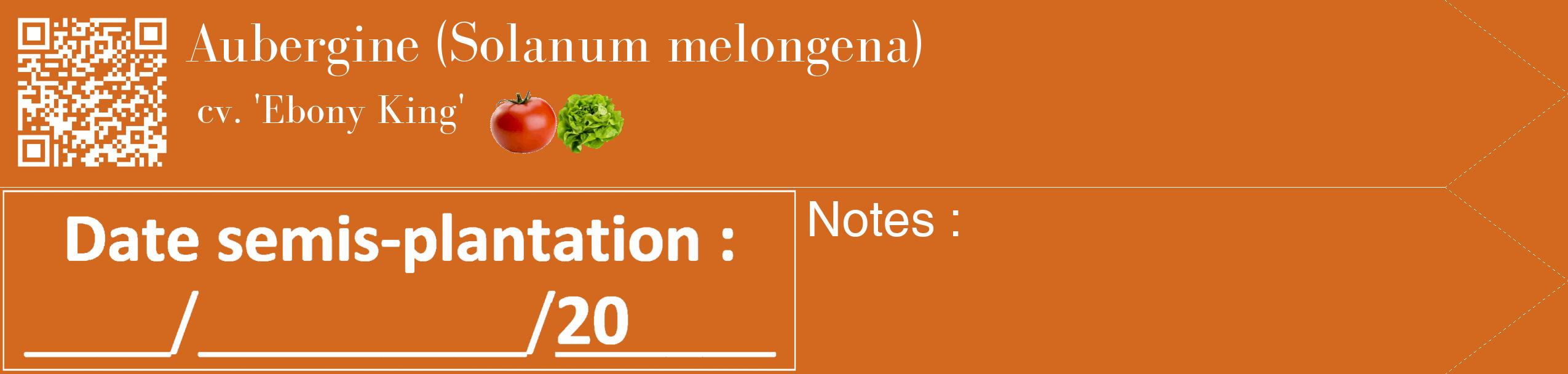 Étiquette de : Solanum melongena cv. 'Ebony King' - format c - style blanche31simple_simple_simplebod avec qrcode et comestibilité simplifiée