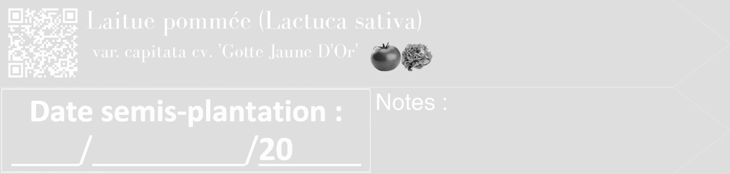 Étiquette de : Lactuca sativa var. capitata cv. 'Gotte Jaune D'Or' - format c - style blanche20_simple_simplebod avec qrcode et comestibilité simplifiée