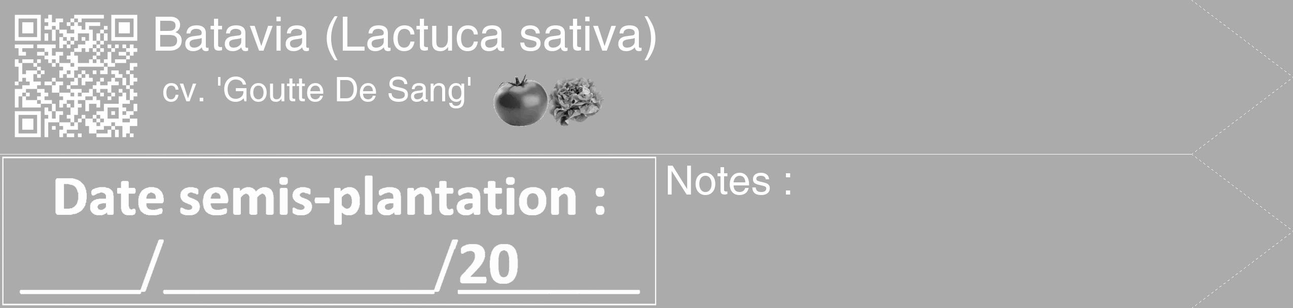 Étiquette de : Lactuca sativa cv. 'Goutte De Sang' - format c - style blanche37_simple_simplehel avec qrcode et comestibilité simplifiée