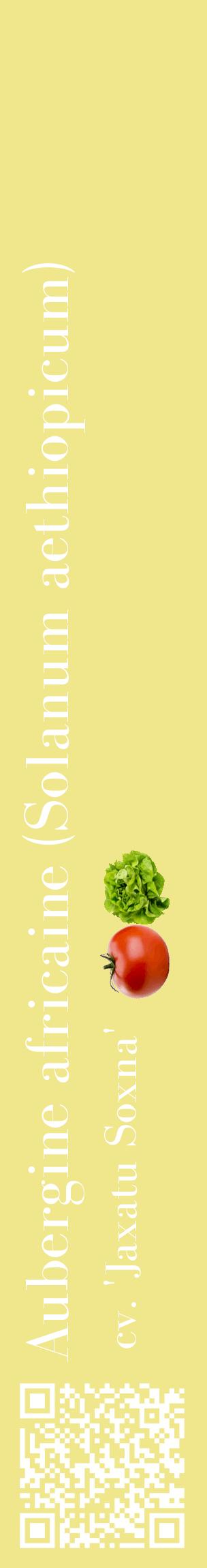 Étiquette de : Solanum aethiopicum cv. 'Jaxatu Soxna' - format c - style blanche20_basiquebod avec qrcode et comestibilité simplifiée