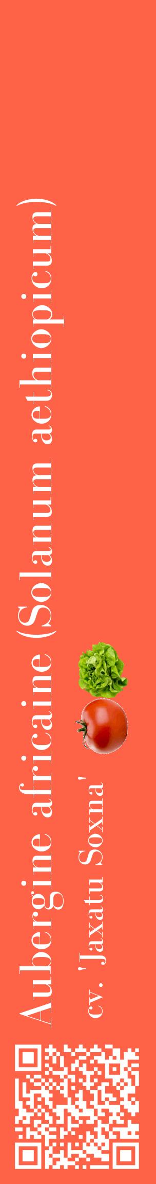 Étiquette de : Solanum aethiopicum cv. 'Jaxatu Soxna' - format c - style blanche25_basiquebod avec qrcode et comestibilité simplifiée