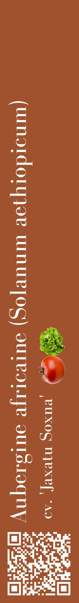 Étiquette de : Solanum aethiopicum cv. 'Jaxatu Soxna' - format c - style blanche32_basiquebod avec qrcode et comestibilité simplifiée