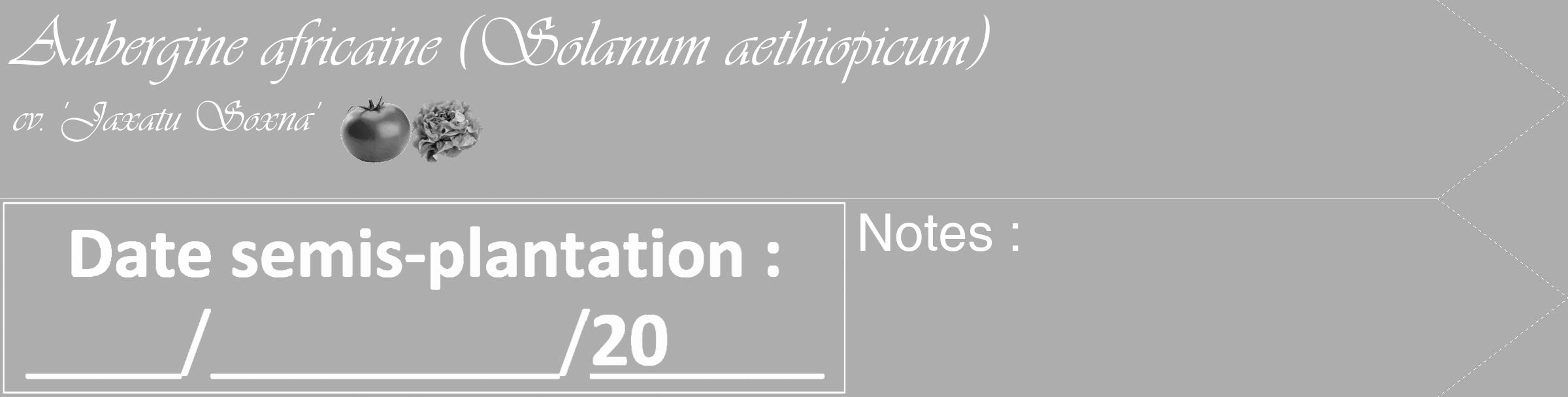 Étiquette de : Solanum aethiopicum cv. 'Jaxatu Soxna' - format c - style blanche22_simple_simpleviv avec comestibilité simplifiée