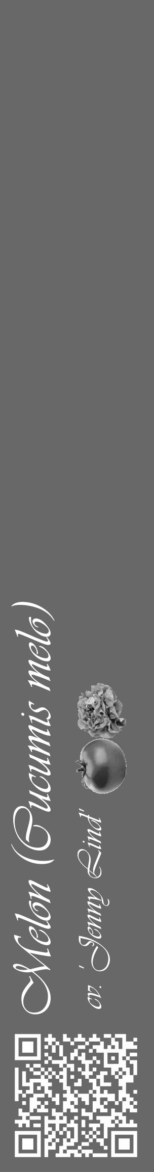 Étiquette de : Cucumis melo cv. 'Jenny Lind' - format c - style blanche43_basique_basiqueviv avec qrcode et comestibilité simplifiée - position verticale