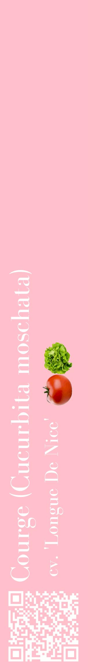 Étiquette de : Cucurbita moschata cv. 'Longue De Nice' - format c - style blanche40_basiquebod avec qrcode et comestibilité simplifiée