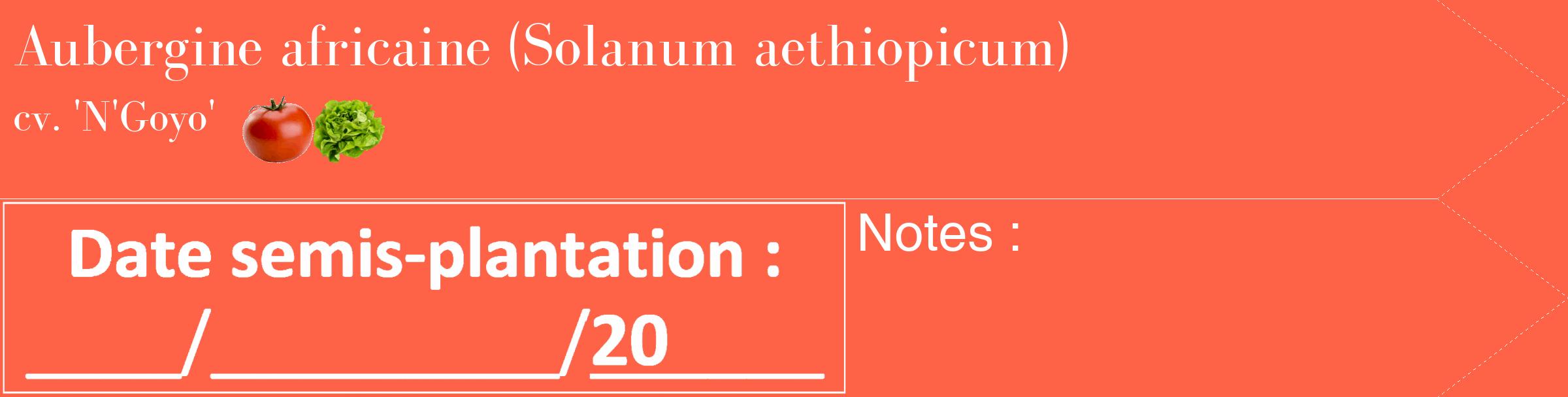 Étiquette de : Solanum aethiopicum cv. 'N'Goyo' - format c - style blanche25_simple_simplebod avec comestibilité simplifiée