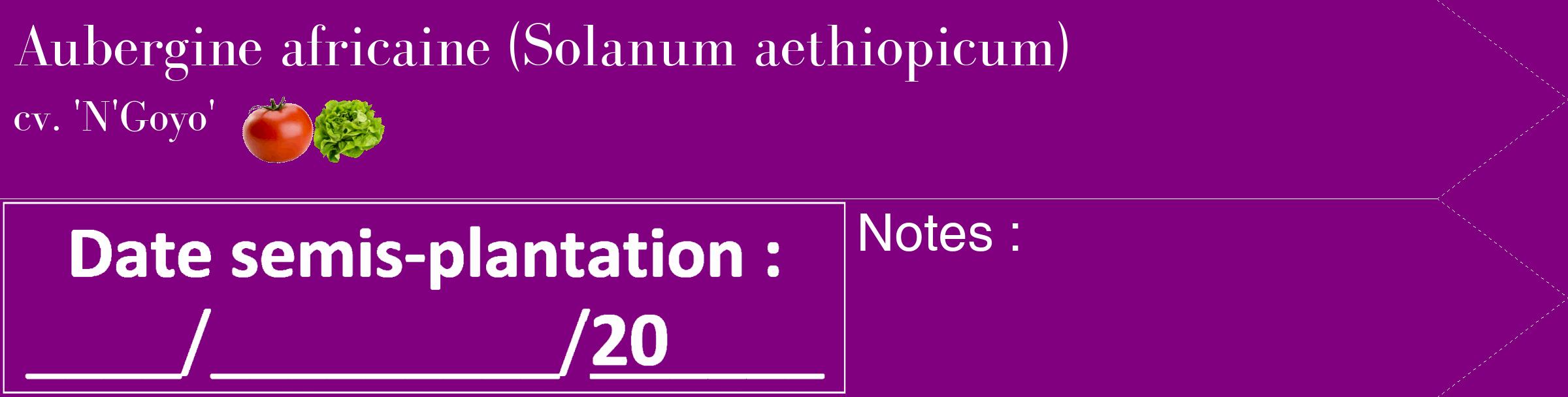 Étiquette de : Solanum aethiopicum cv. 'N'Goyo' - format c - style blanche46_simple_simplebod avec comestibilité simplifiée