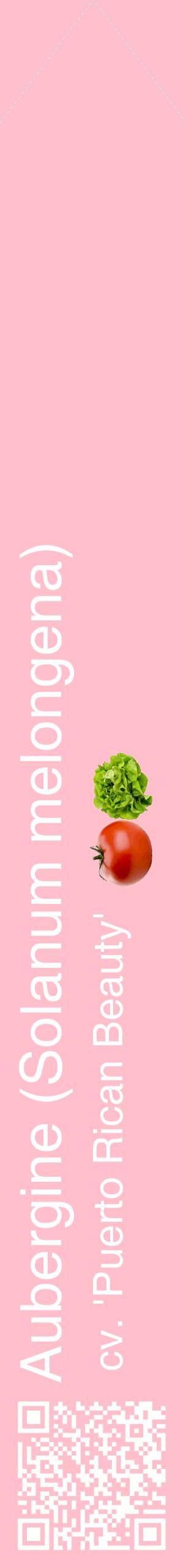 Étiquette de : Solanum melongena cv. 'Puerto Rican Beauty' - format c - style blanche40_simplehel avec qrcode et comestibilité simplifiée