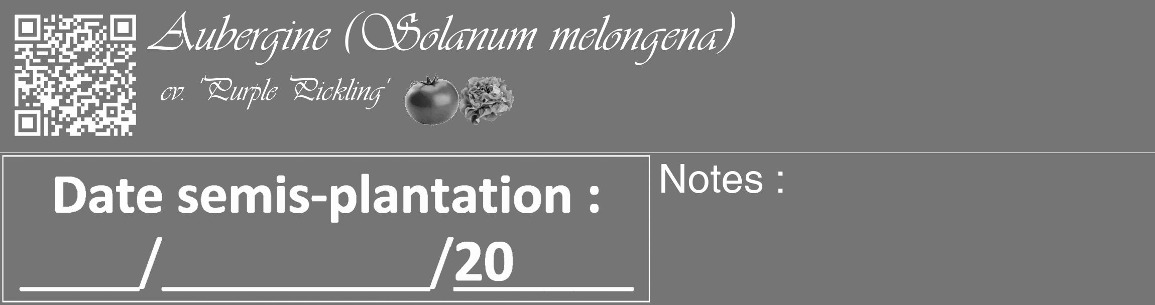 Étiquette de : Solanum melongena cv. 'Purple Pickling' - format c - style blanche5_basique_basiqueviv avec qrcode et comestibilité simplifiée