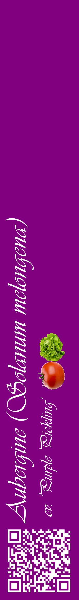 Étiquette de : Solanum melongena cv. 'Purple Pickling' - format c - style blanche46_basiqueviv avec qrcode et comestibilité simplifiée