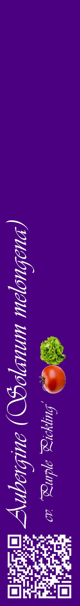 Étiquette de : Solanum melongena cv. 'Purple Pickling' - format c - style blanche47_basiqueviv avec qrcode et comestibilité simplifiée