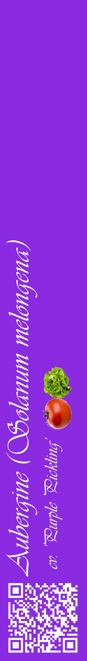 Étiquette de : Solanum melongena cv. 'Purple Pickling' - format c - style blanche49_basiqueviv avec qrcode et comestibilité simplifiée