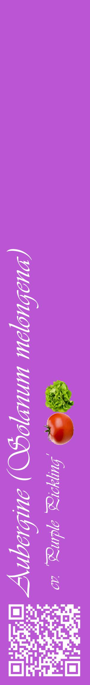 Étiquette de : Solanum melongena cv. 'Purple Pickling' - format c - style blanche50_basiqueviv avec qrcode et comestibilité simplifiée