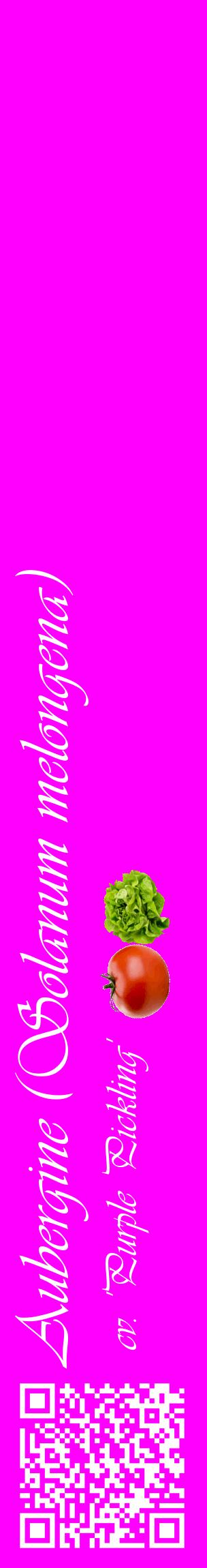 Étiquette de : Solanum melongena cv. 'Purple Pickling' - format c - style blanche51_basiqueviv avec qrcode et comestibilité simplifiée