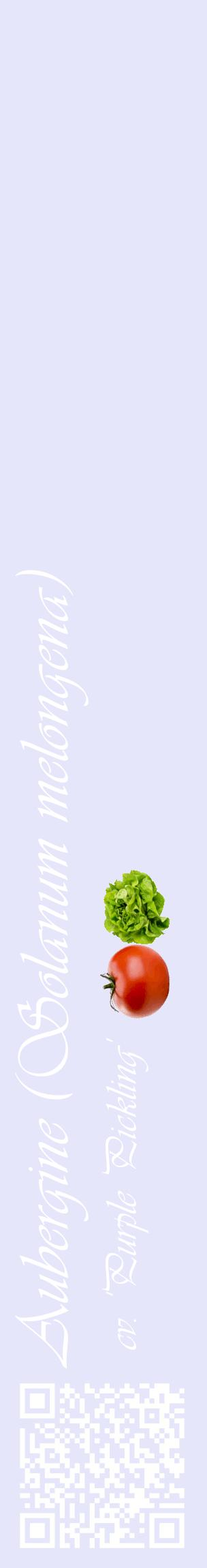 Étiquette de : Solanum melongena cv. 'Purple Pickling' - format c - style blanche55_basiqueviv avec qrcode et comestibilité simplifiée