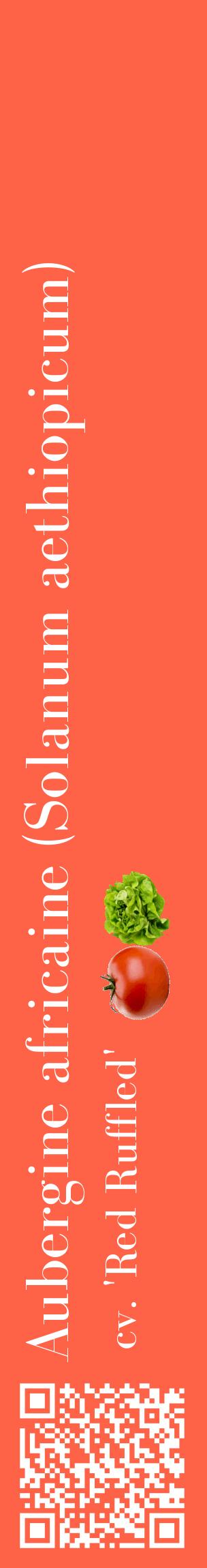 Étiquette de : Solanum aethiopicum cv. 'Red Ruffled' - format c - style blanche25_basiquebod avec qrcode et comestibilité simplifiée