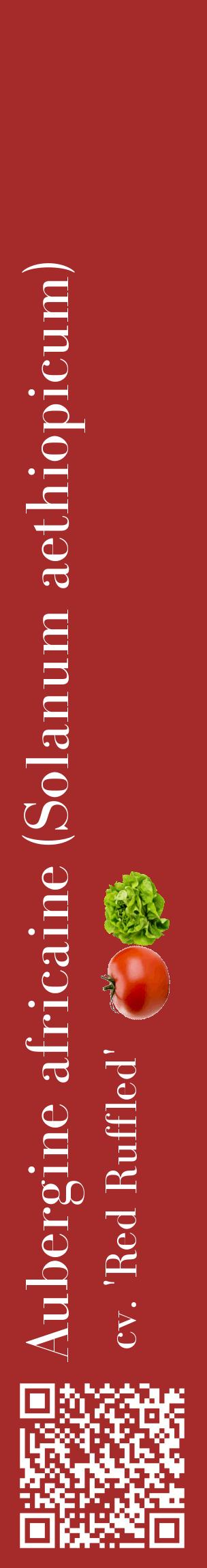 Étiquette de : Solanum aethiopicum cv. 'Red Ruffled' - format c - style blanche33_basiquebod avec qrcode et comestibilité simplifiée